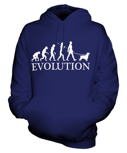Sussex spaniel evolution - evolution, of