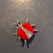 Brand New Ladybird Insect