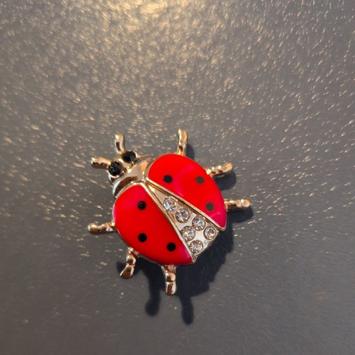 Brand new ladybird insect - brand,