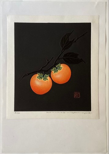 Tadaaki maejima japanese - tadaaki,