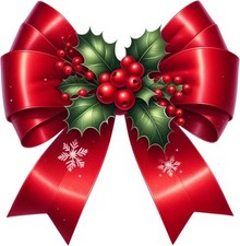Red Christmas Coquette Bow