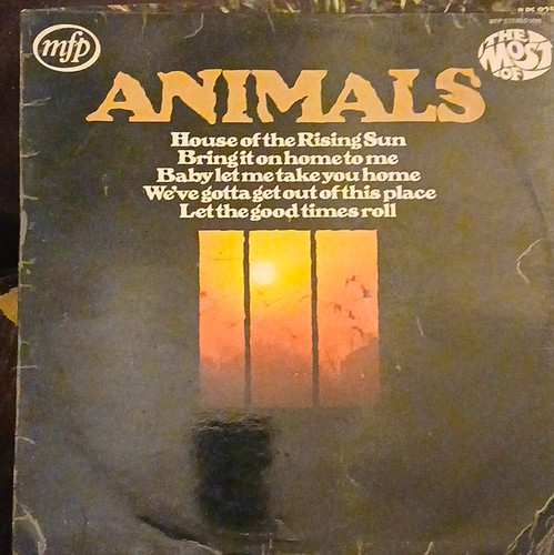 The animals most - most, i