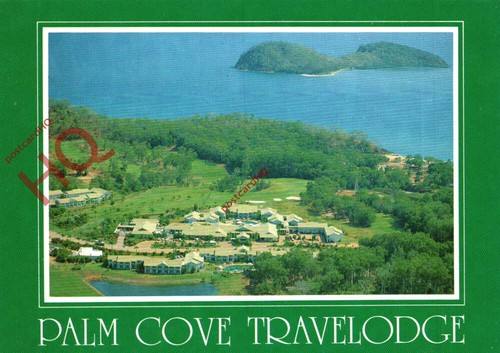 Picture postcard cairns palm - picture, cairns,