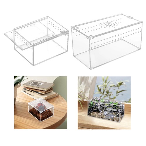 Reptile terrarium portable - terrarium,