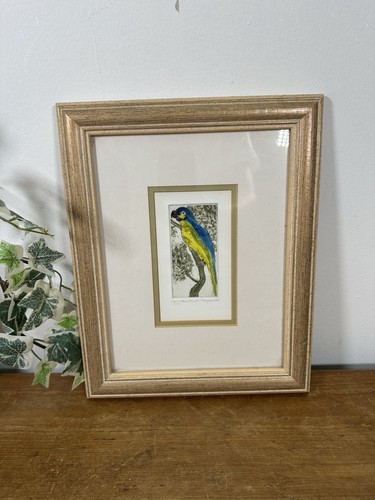 Vintage blue parrot - vintage, etching