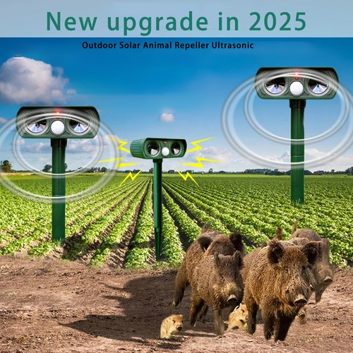 Pack outdoor solar animal - solar,