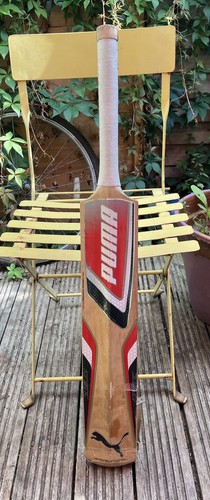 Puma kinetic 6000 - kinetic, cricket
