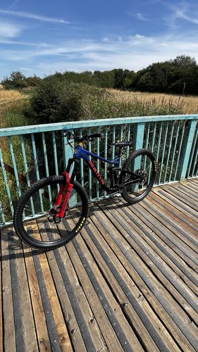 Marin alpine trail 2023 - alpine,