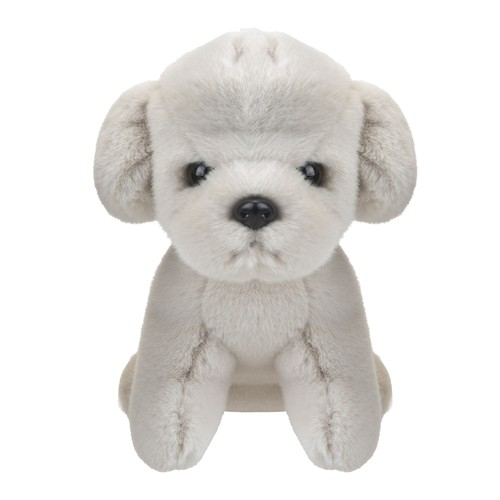 Dog cream soft toy fun - fun, doggy