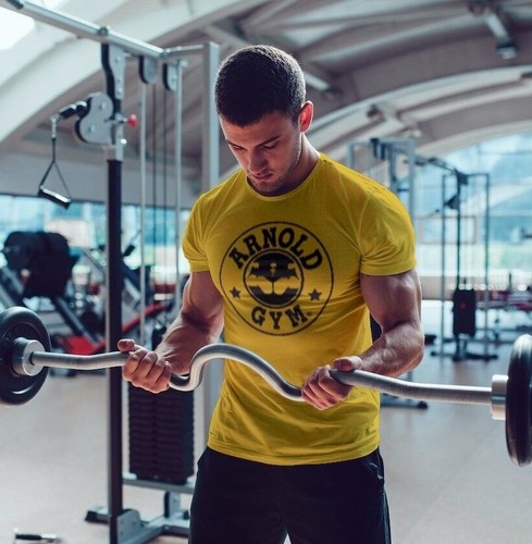 Men arnold gym - men's, t-shirt