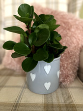 Ceramic Plant Pot / Planter Grey with multiple hearts design  14cm x 12cm