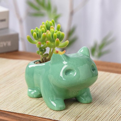 Succulent flower pot animal - succulent,