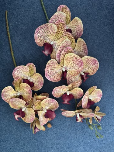 Realistic orchid flower - realistic,