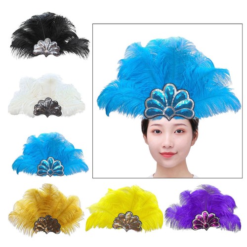 Feather headdress decorative - feather,