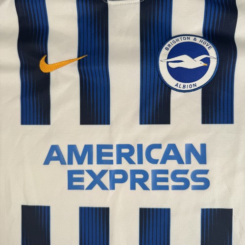 Brighton hove albion - brighton,