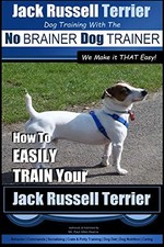 Jack Russell Terrier | Dog