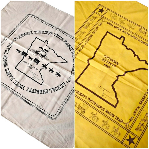 Minnesota annual sheriffs - annual,