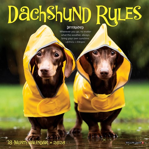 Dachshund rules 2026 mini wall - 2026,