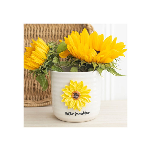 Hello sunshine plant pot with - hello,
