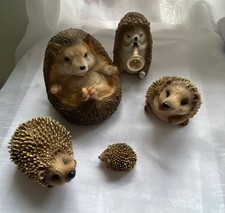 Collection of 5 cute hedgehogs