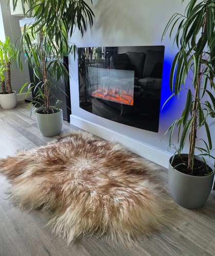 Curly icelandic sheepskin - icelandic,