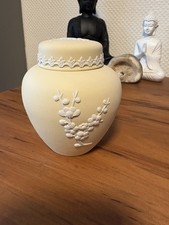 Wedgewood Jasperware Large Yellow Primrose prunus Ginger Jar