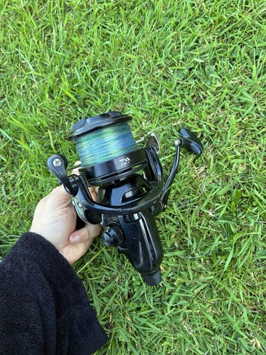 Daiwa emblem 25a - emblem, carp