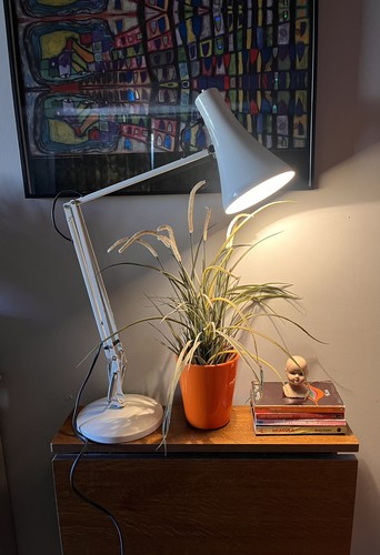 Vintage cream anglepoise - vintage, model