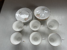 Vintage 17 Pieces Argyle Fine Bone China Floral Decoration & Gold Edges (VGC)