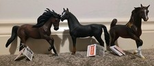 2011 collecta andalusian - 2011,