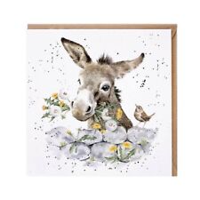 Donkey Birthday Card Wrendale Fine and Dandy – Countryside Blank Greeting Card