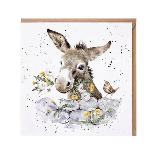 Donkey birthday card wrendale - donkey,