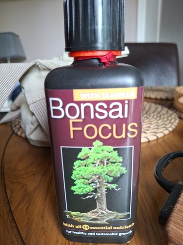 Growth technology bonsai focus - technology,