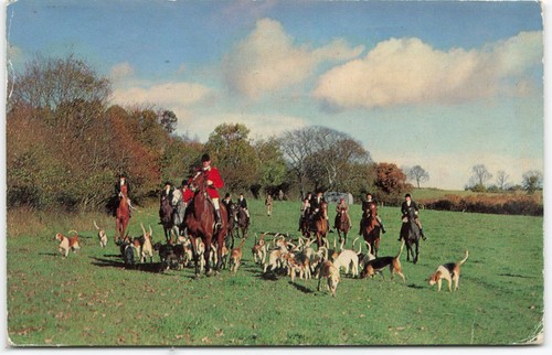 1967 postcard fox hunting - 1967,