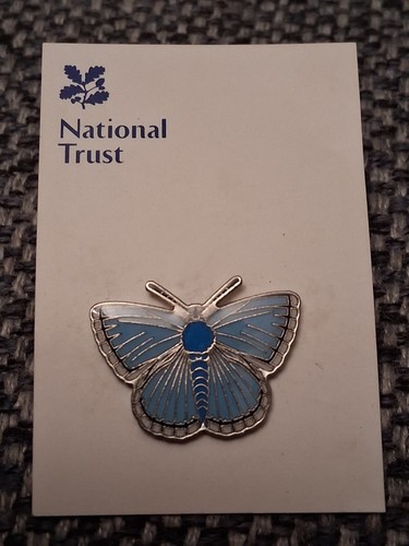 National trust boxhill blue - national,