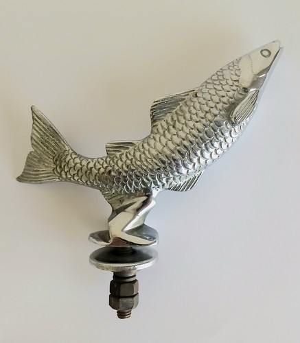 Desmo leaping salmon - desmo,
