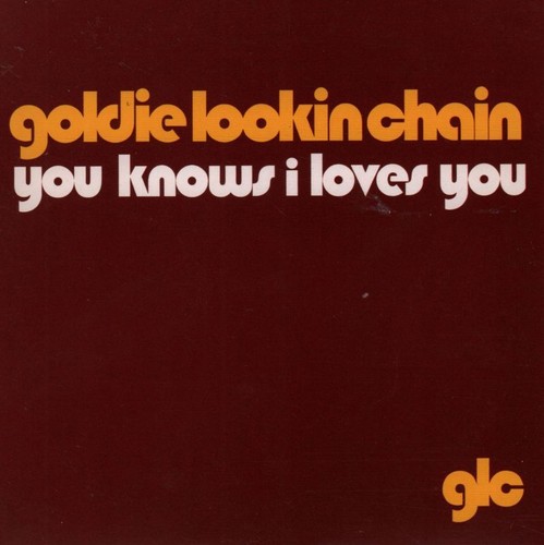 Goldie lookin chain promo cd - lookin', chain(promo