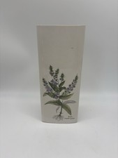 Pocket Vase hanging pot (veronica anagallis-aquatica)