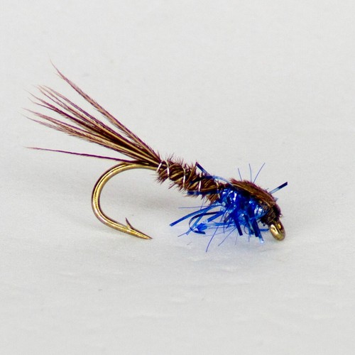 Special electric blue - 3,