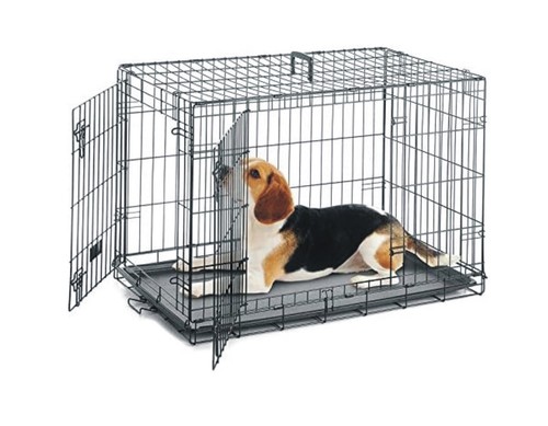Dog cage pet - dog, puppy