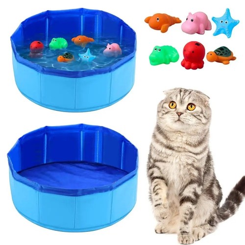 Large pet bath - pet, swimming