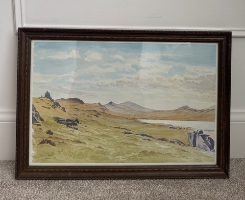 Stephen wild 1993 water - wild, colour