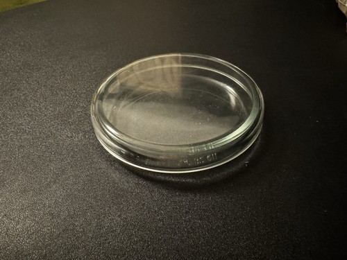 Glass petri dish - glass,