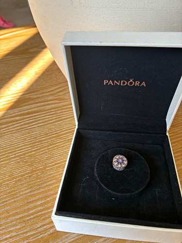 Pandora shimmering medallion - pandora,