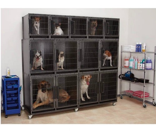 Modular dog and animal kennel - dog,