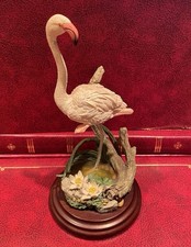 Michael Abberley Flamingo