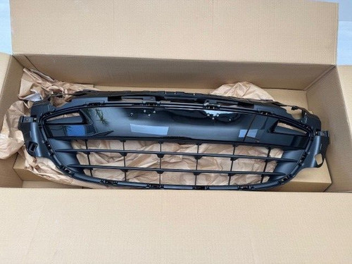 Genuine grille grill - grille,