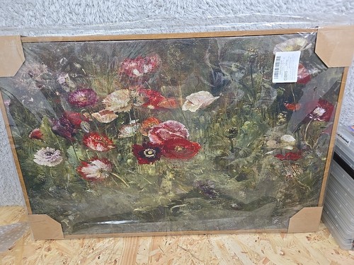 Flowerbed poppies poppy - flowerbed,