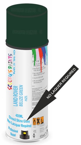 Spray paint for - paint, rover