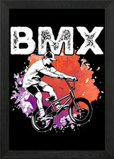 Cool BMX Bike Boys Framed Wall